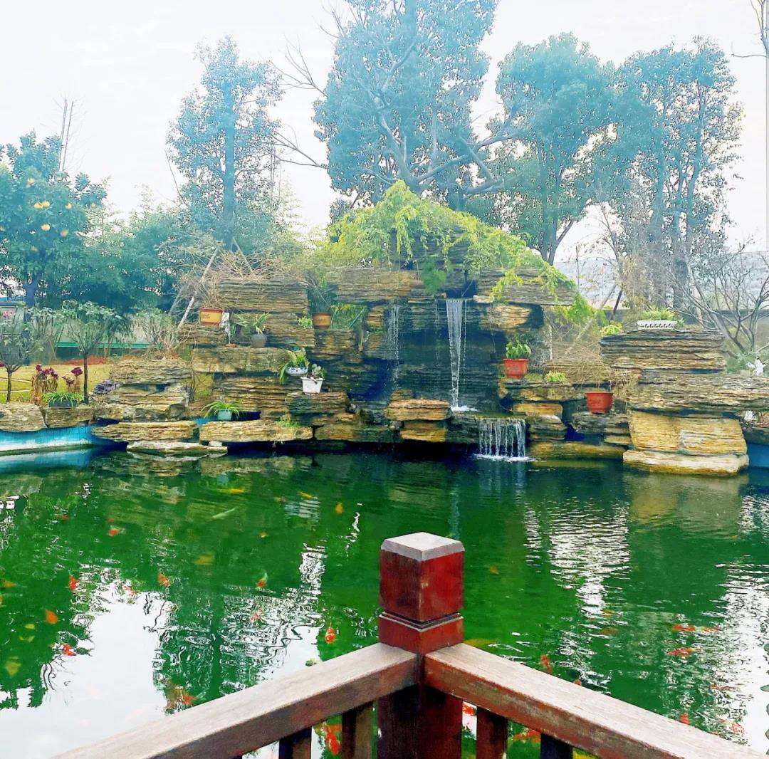 風景這邊獨好!東大環境美景一覽,請查收